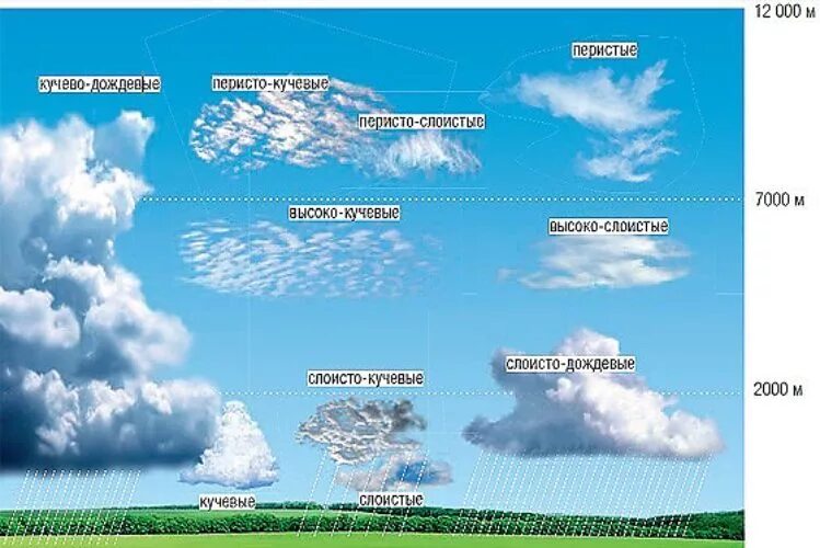 Какова высота облаков. Типы облаков. Какие бывают облака. Абак виды. Виды облаков схема.