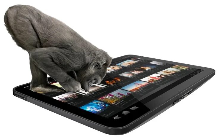 Горилла гласс 5 что это. Экран gorilla glass. Горилла глаз 3. Горилла с телефоном. Стекло горилла гласс.