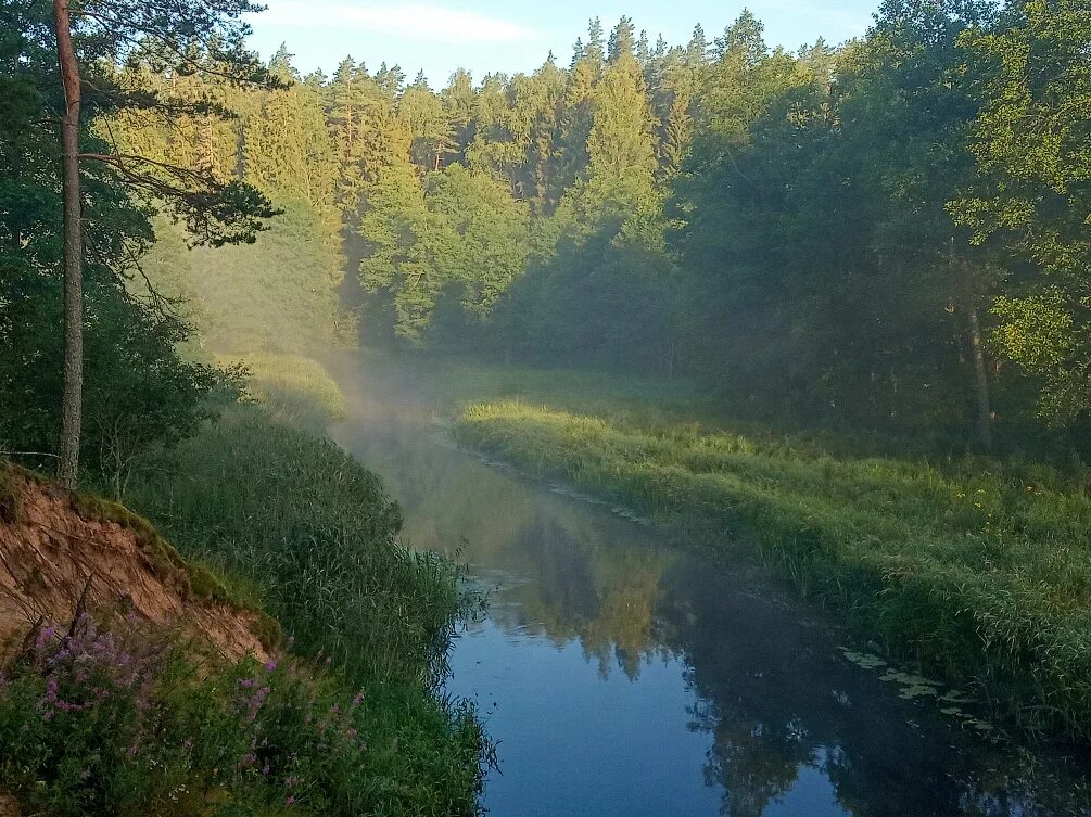 Природа беларуси детям. Природа белоруссии натуральная. белоруссия эстетика природа. видеоклип природа белоруссии. свольня река.
