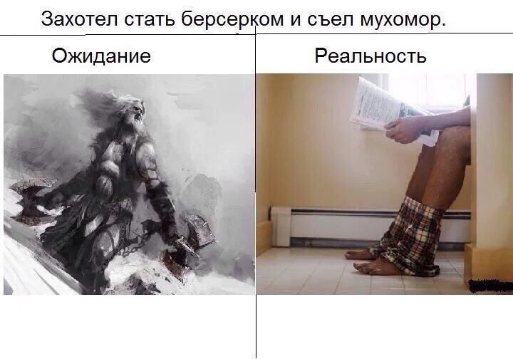 Как захотеть стать. Захотел стать берсерком и съел мухомор. решил стать берсерком и съел мухомор. съел мухоморов ожидание реальность берсерк.