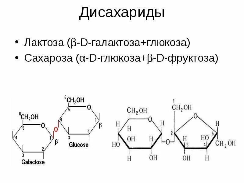 Дисахаридом является глюкоза сахароза