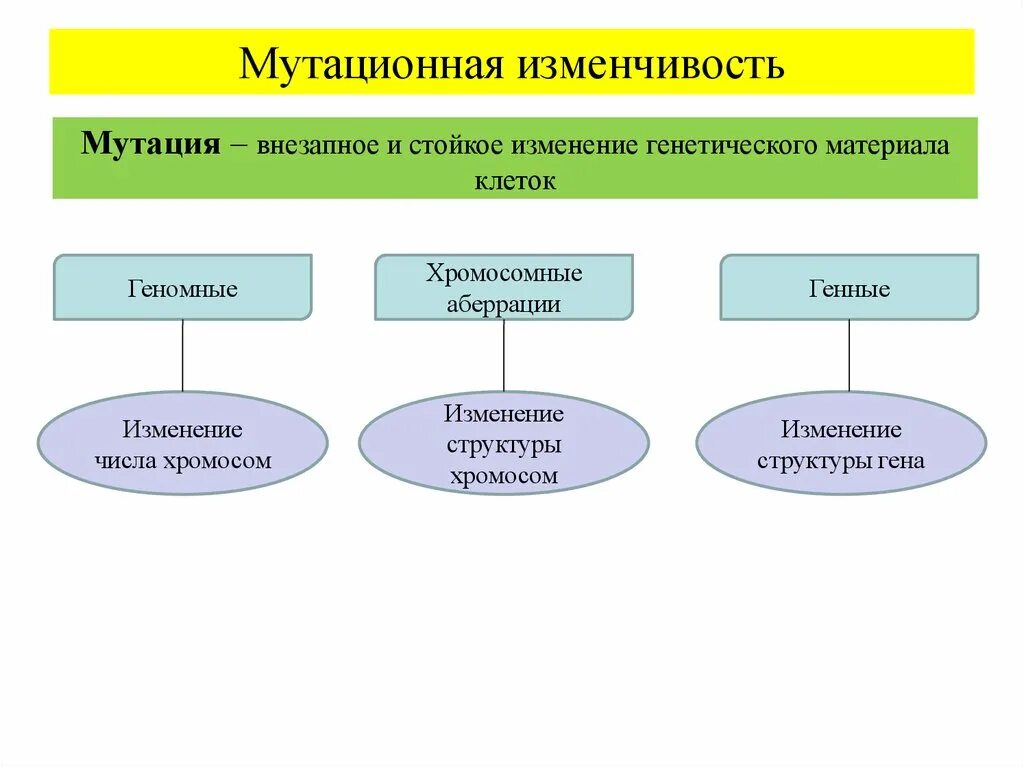 Основные формы мутационной изменчивости. Мутационная изменчивость (причины и классификация).. Мутационная изменчивость схема 9 класс. Мутационная изменчивость кратко 9 класс.