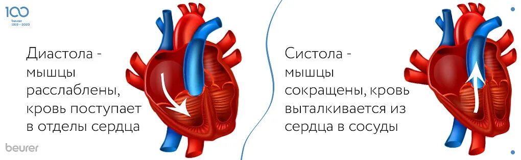 Пассивное наполнение сердца кровью фаза сердечного. Диастола сердца. Сердце давление. Систола и диастола сердца. Систола и диастола сердца сосуды.