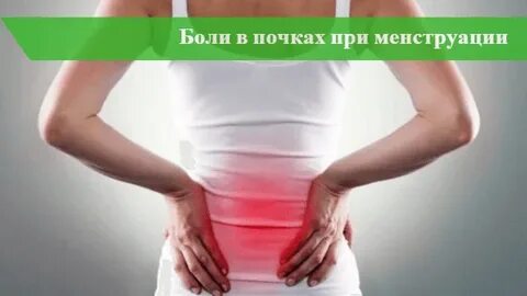 При месячных болит поясница