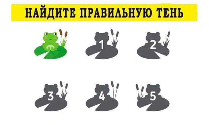 Загадка про тень. Найди правильную тень. где правильная тень. игра где правильная тень. найди правильную тень компьютера.