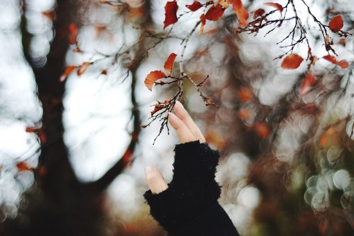Осень грусть. Осеннее одиночество. Осенняя печаль. Девушка осень.