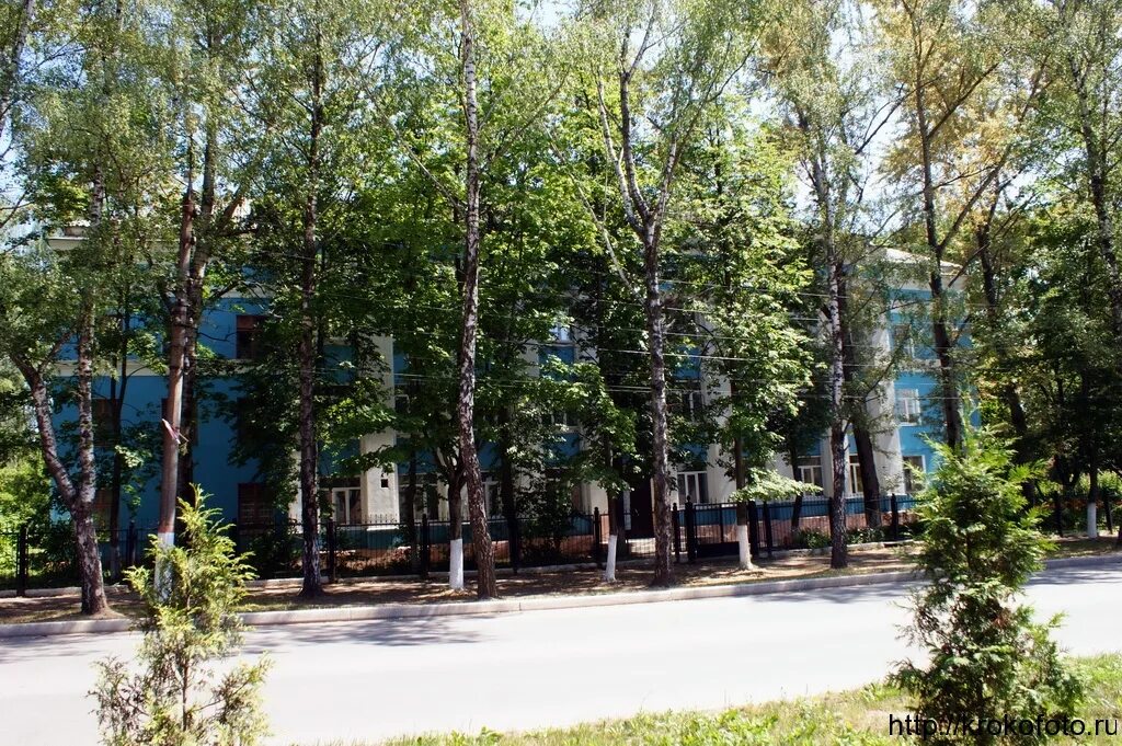 лицей 1 щекино. гимназия 1 щекино. щекино политехнический колледж. политехнический колледж. 12 школа город щекино.