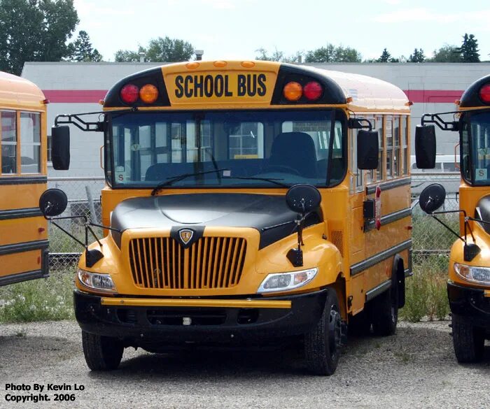 Ice bus