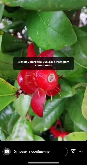 Инстаграм песня недоступна. Проблемы с инстаграм. В вашем регионе музыка в инстаграм недоступна. Музыка недоступна в вашем регионе. Эта история недоступна инстаграм.