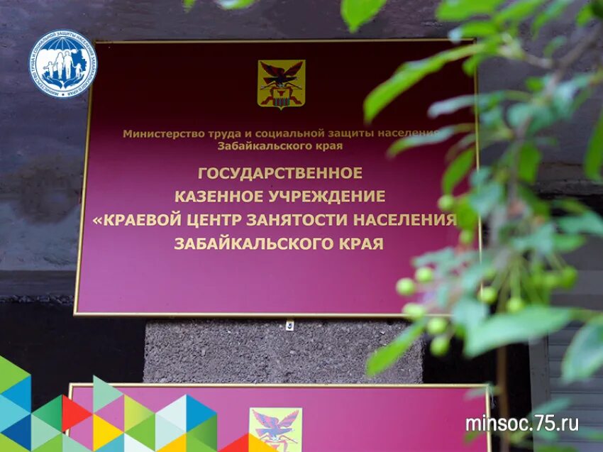 Министерство труда иркутской области. Центр занятости кисловодск официальный сайт. Архангельский областной центр занятости населения. Специалист цзн. Министерства центра занятости.