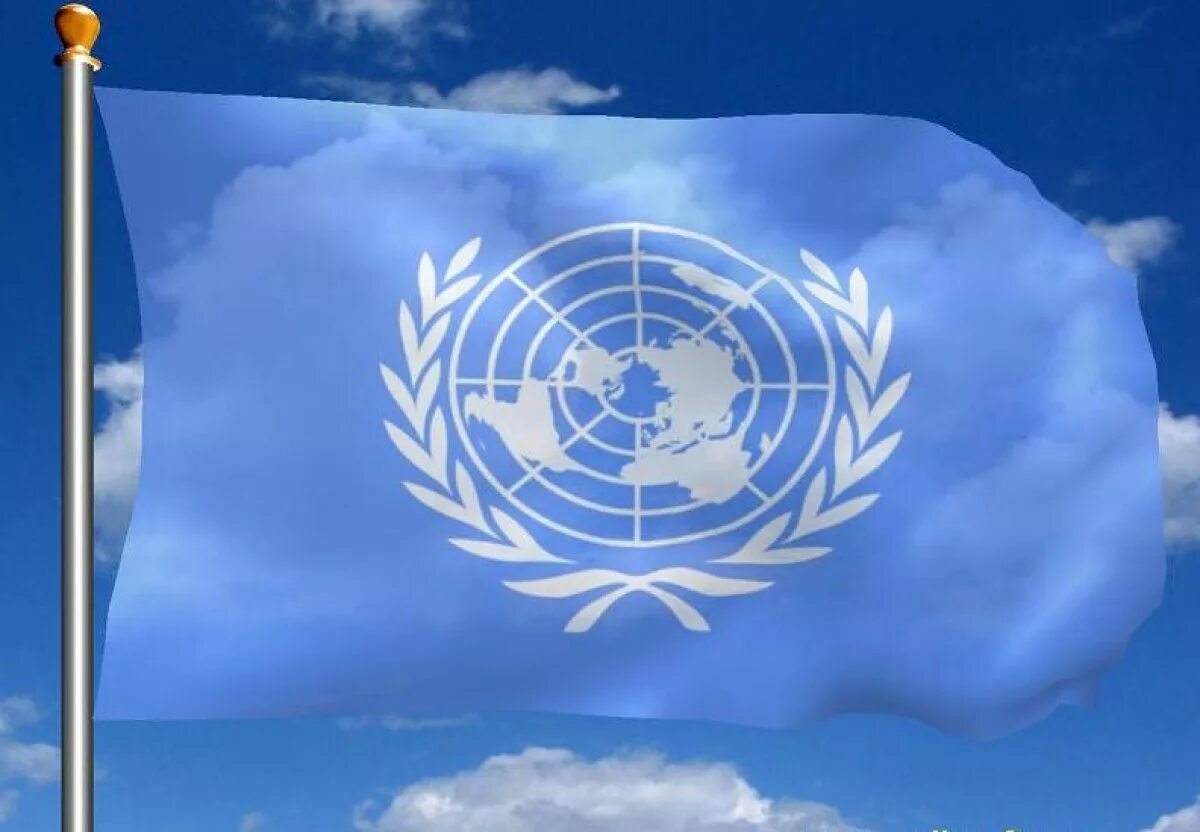 Европейская экономическая комиссия ООН. Евразийская экономическая комиссия ООН. Организация Объединённых наций. Экономической комиссии организации Объединенных наций.
