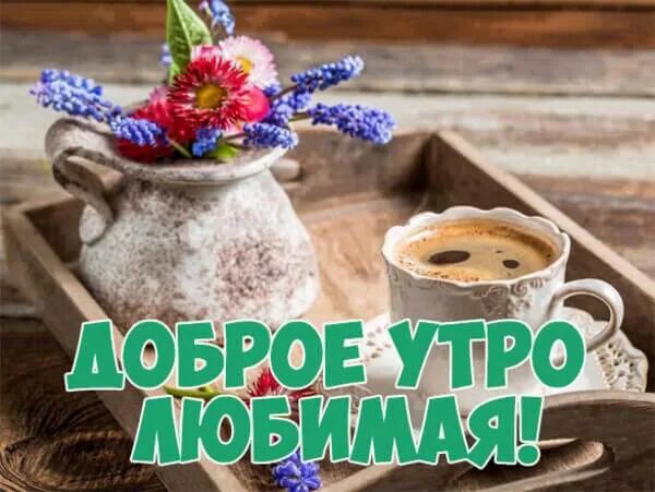Что сказать жене утром: найдено 82 изображений