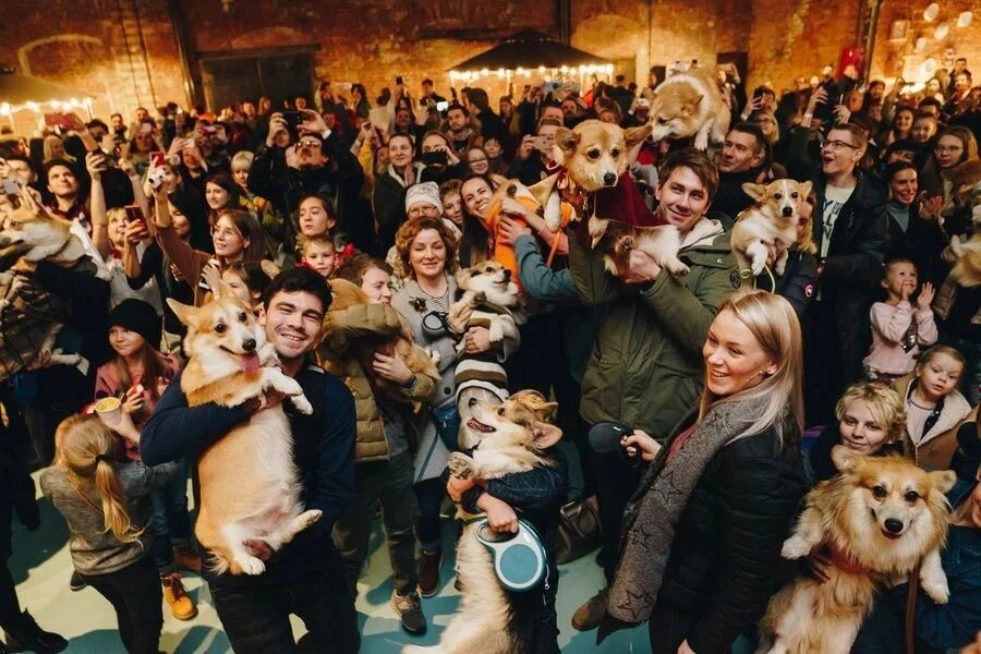 Фестиваль корги в спб. Корги и дети. Фестиваль корги спб 2024 20 октября. Фестиваль корги спб 2024 20 октября. Фестиваль корги спб 2024 20 октября.