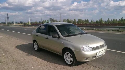 502 дыня