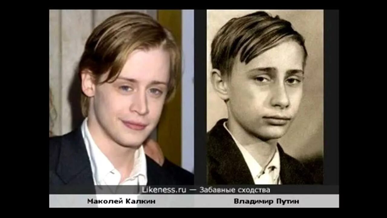 Больше похожих информация. Мэтт дэймон и гарик харламов. Больше похожих информация. Очень похожие люди. Мэтт дэймон и гарик харламов.