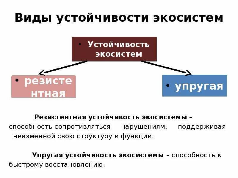 Факторы устойчивости экосистем. Причина устойчивости э. Причины устойчивости экосистем. Виды устойчивой экосистемы. В чем опасность нарушения связей в экосистеме