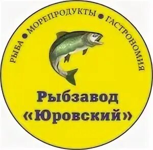 Рыбзавод юровский. Вяленая рыба из астрахани. Рыбзавод ялта. Сотниковский рыбзавод. Платнировская рыбзавод.