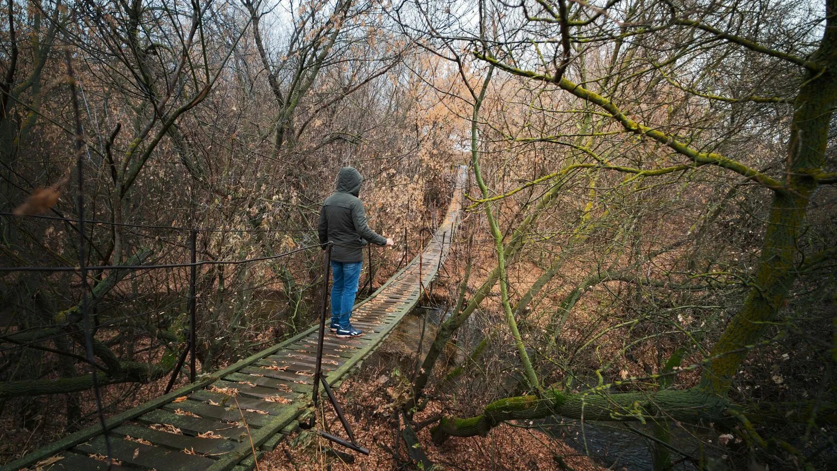 Весевшая или висевшая. Подвесной мост в Самарской области. Маскировка моста. Замаскированный мост.