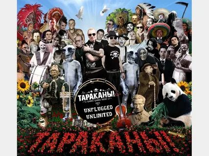 Тараканы я смотрю на них