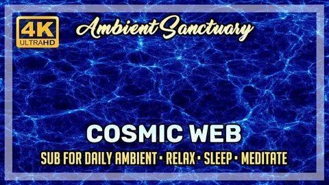 Web universe