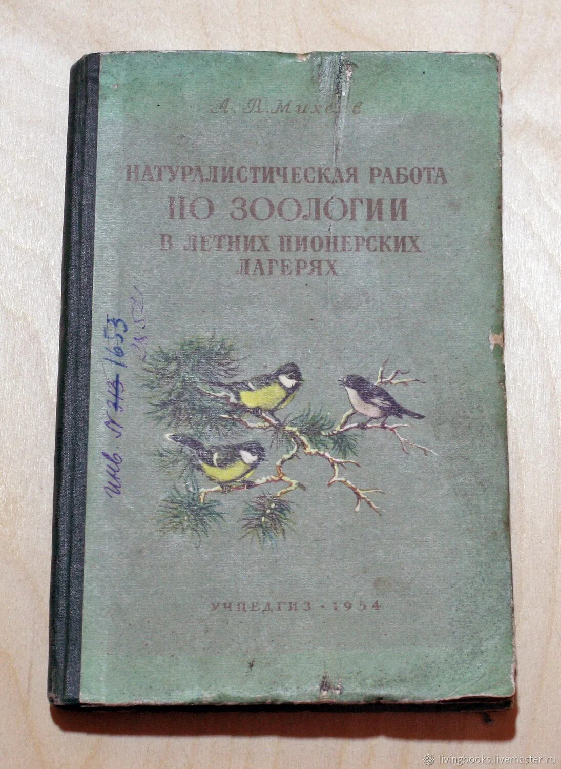 Винтажные книги по зоологии. Практика по зоологии. Полевая практика по зоологии. Лето в Пионерском лагере книга.