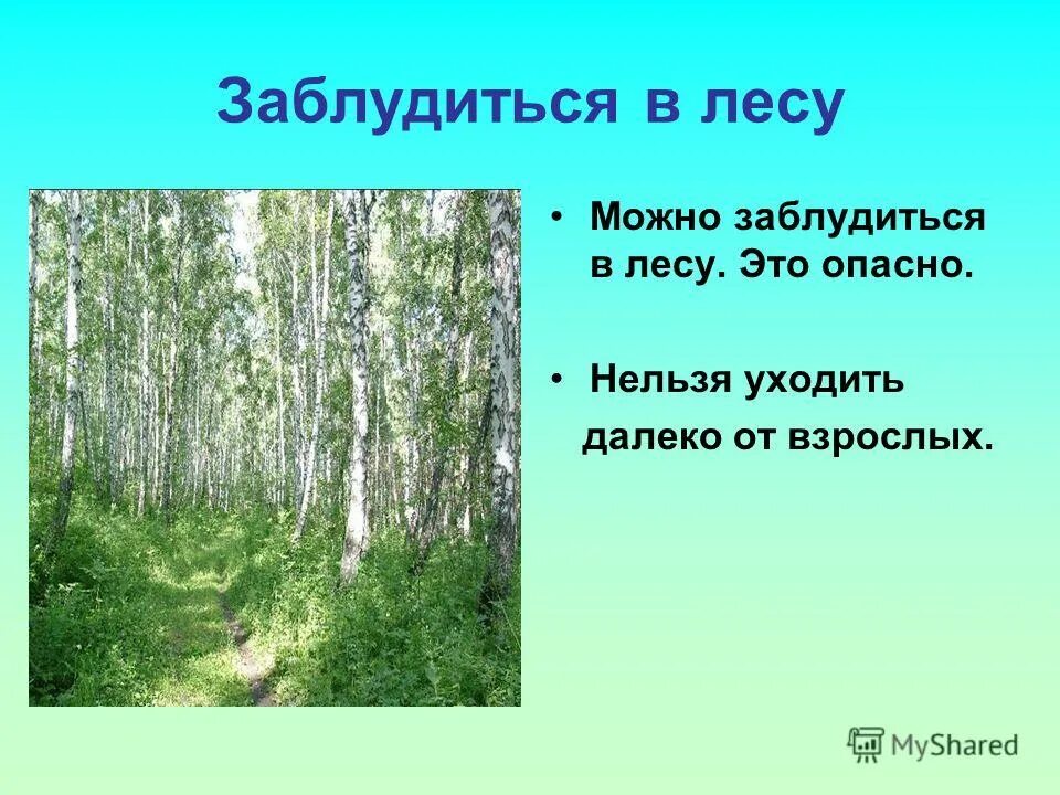 Выбери текст. Если заблудился в лесу 2 класс. Лес-наше богатство презентация. Стих про ежика. Стих про лес короткие.
