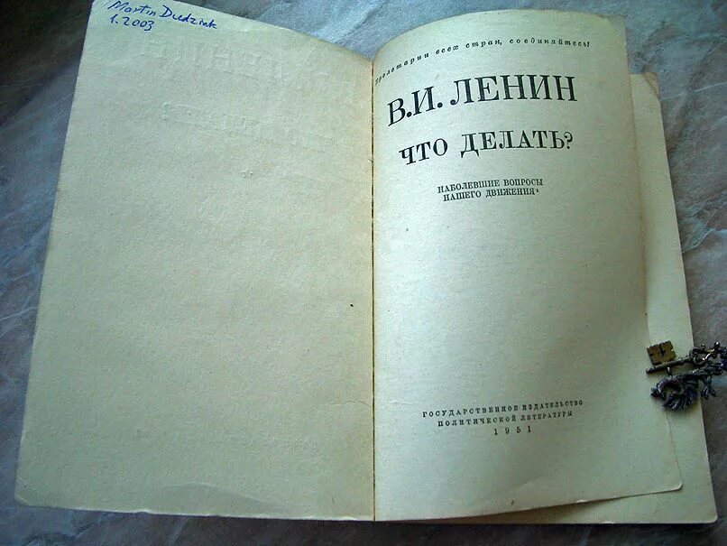 Статья дам книга. Книга Ленина что делать. Ленин что делать. Что делать книга. Что делать наболевшие вопросы нашего движения Ленин.