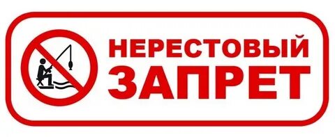 1с запрет