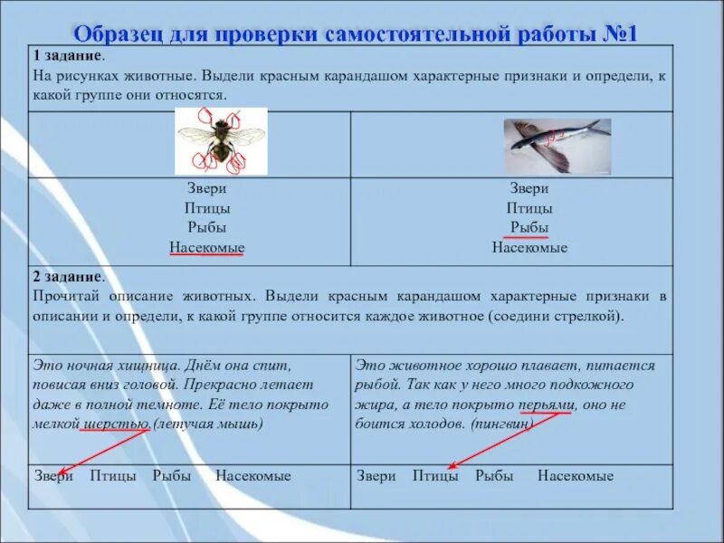 Как самостоятельно проверить есть. Определите к какой группе относится каждое животное.