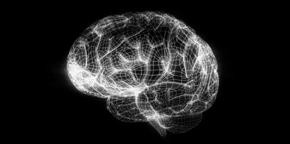Brain 8 1. Мозг на ладони. Human Brain Project логотип. ИИ. Neuropolis.