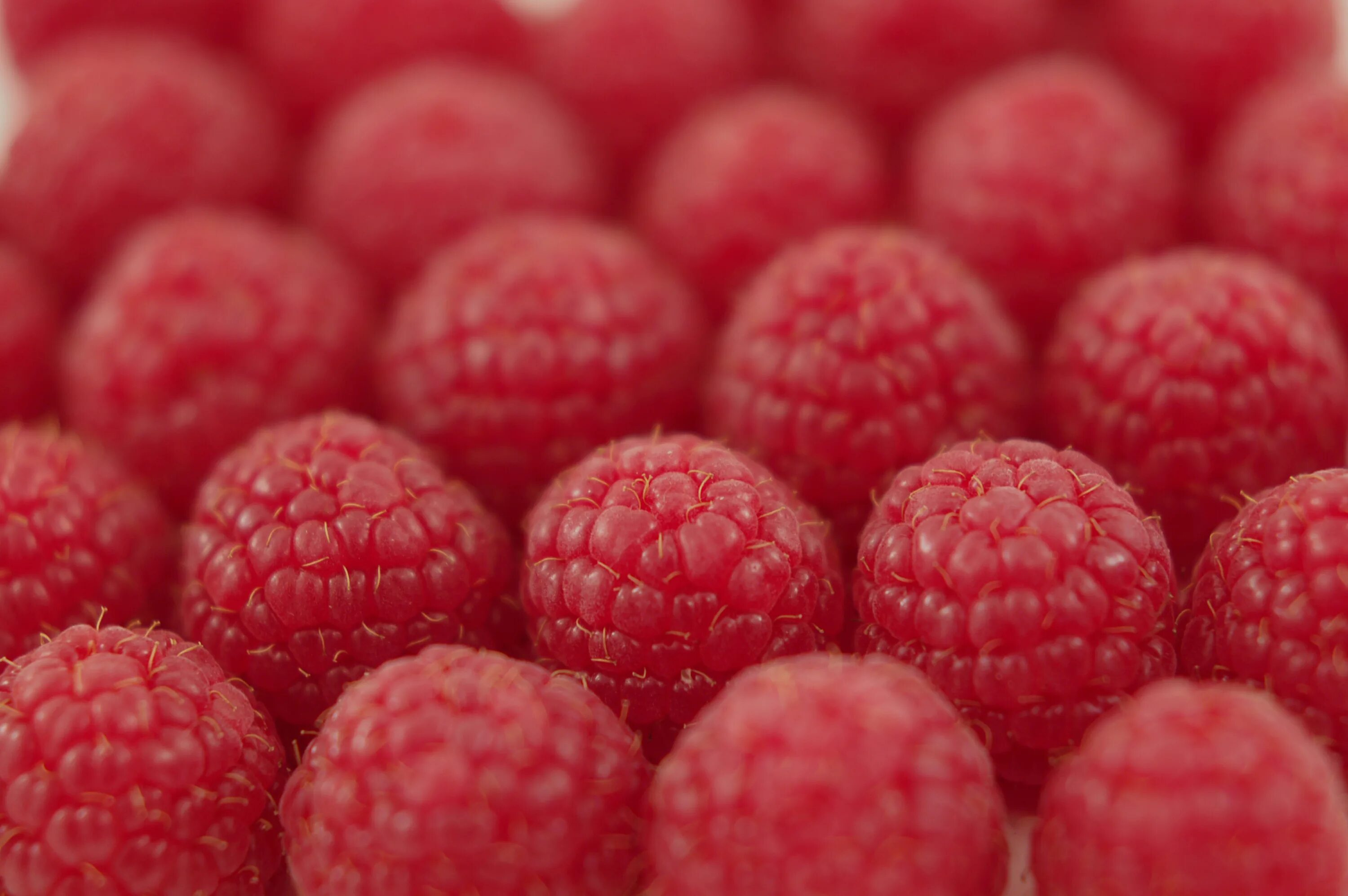 Raspberry