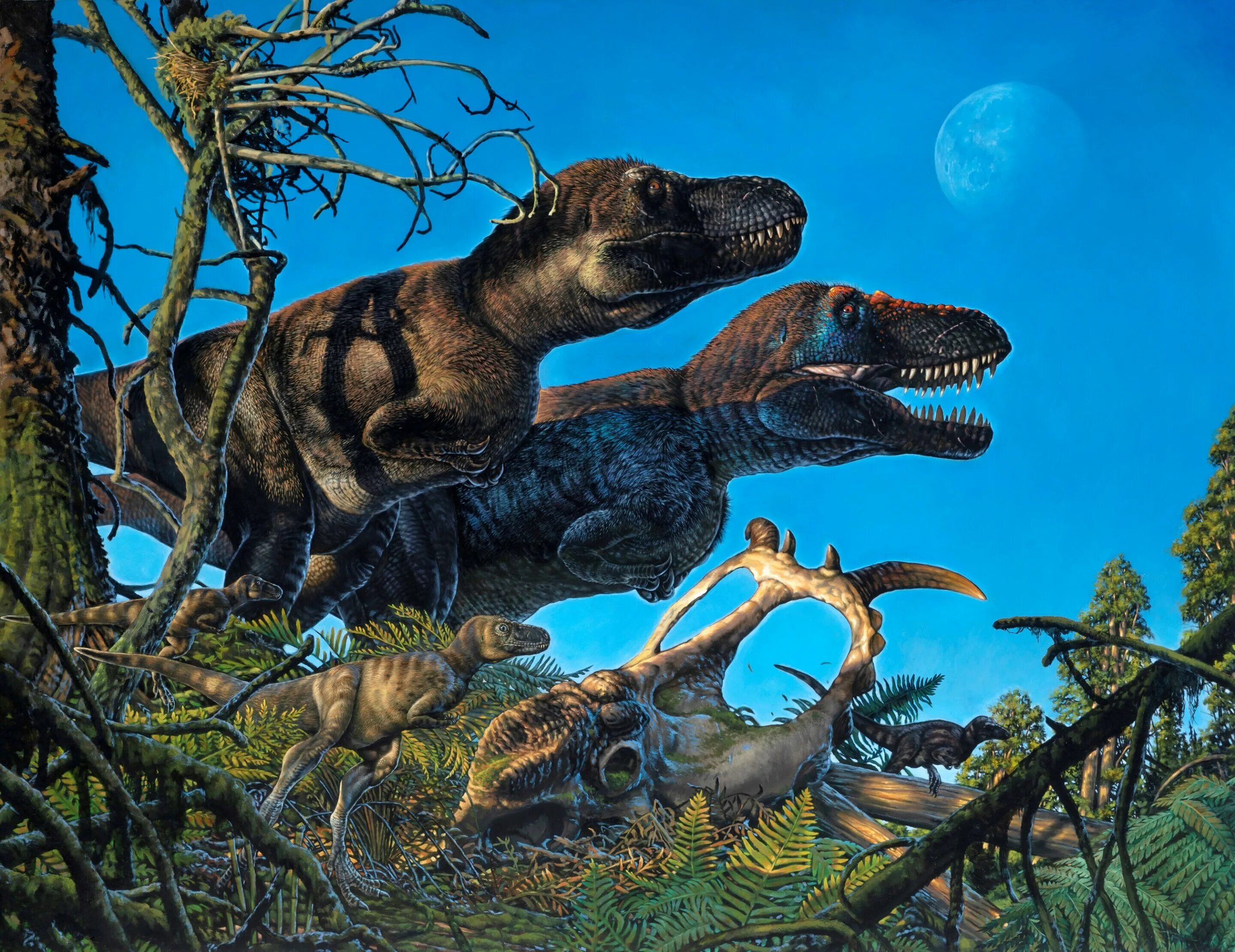 Нанукузавр. Nanuqsaurus hoglundi. ТАНУР динозавр хищник. Динозавры мелового периода. Число динозавров