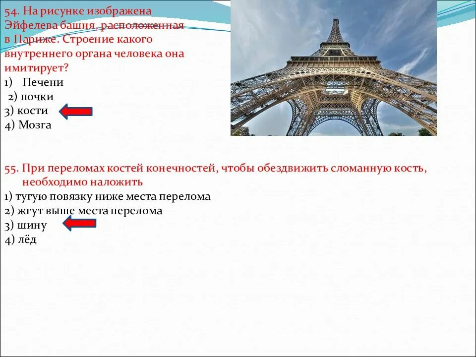 На рисунке изображен орган. Эйфелева башня строение какого внутреннего органа. Строение Эйфелевой башни кость. Скелет человека и Эйфелева башня. На какой орган человека похожа Эйфелева башня.