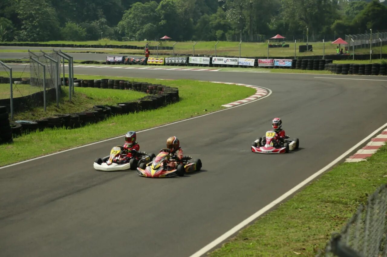 дом картингов