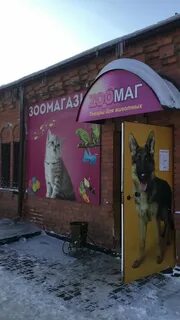 Зоомир ишим