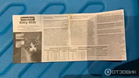 Lactol kitty