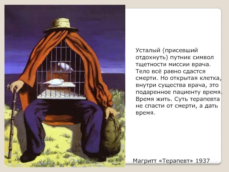 Уставшая собака. Устал работать. Кот на диване. Не хочу больше работать хочу на море. Смешной дуб.