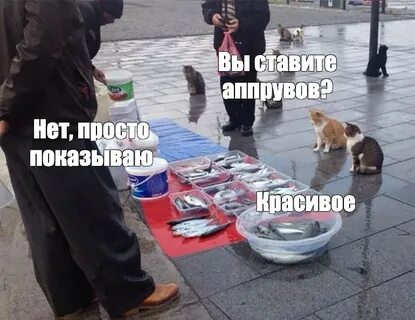Просто показываю красивое