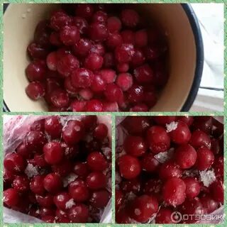 Замораживают ли вишню