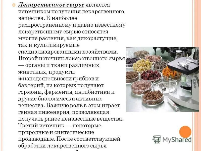 Лрс одуванчик лекарственный. Лекарственным сырьем является. Лекарственным сырьем является. Лекарственным сырьем является. Лекарственные свойства облепихи.