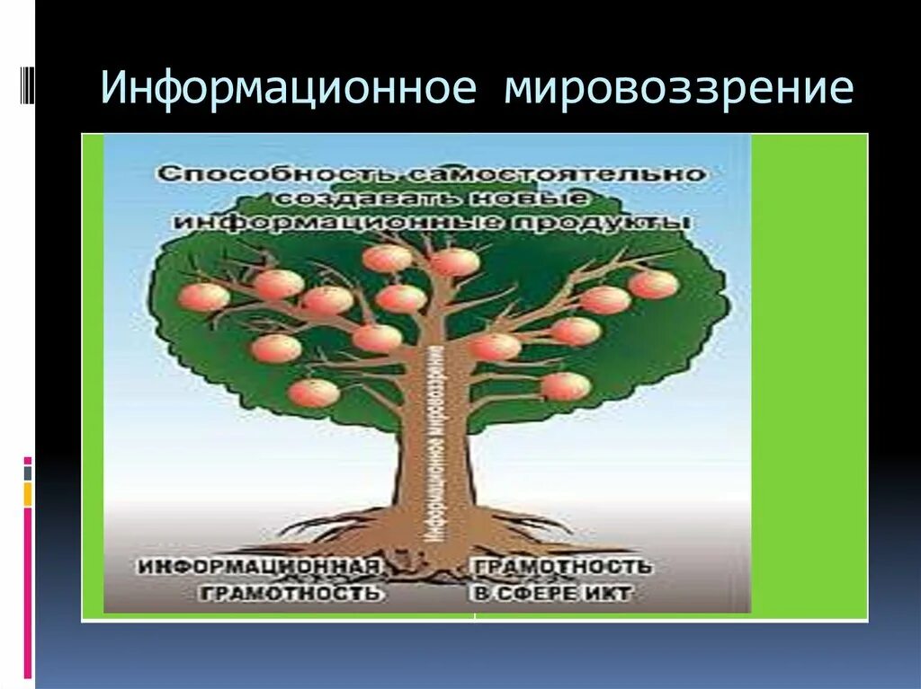 Мировоззрение информационного общества. Мировоззрение информационного общества
