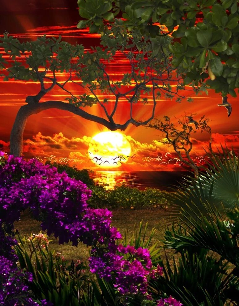 Красивая открытка рай. Восточный пейзаж. Сказочный закат. Райский пейзаж. Сказочная красота.