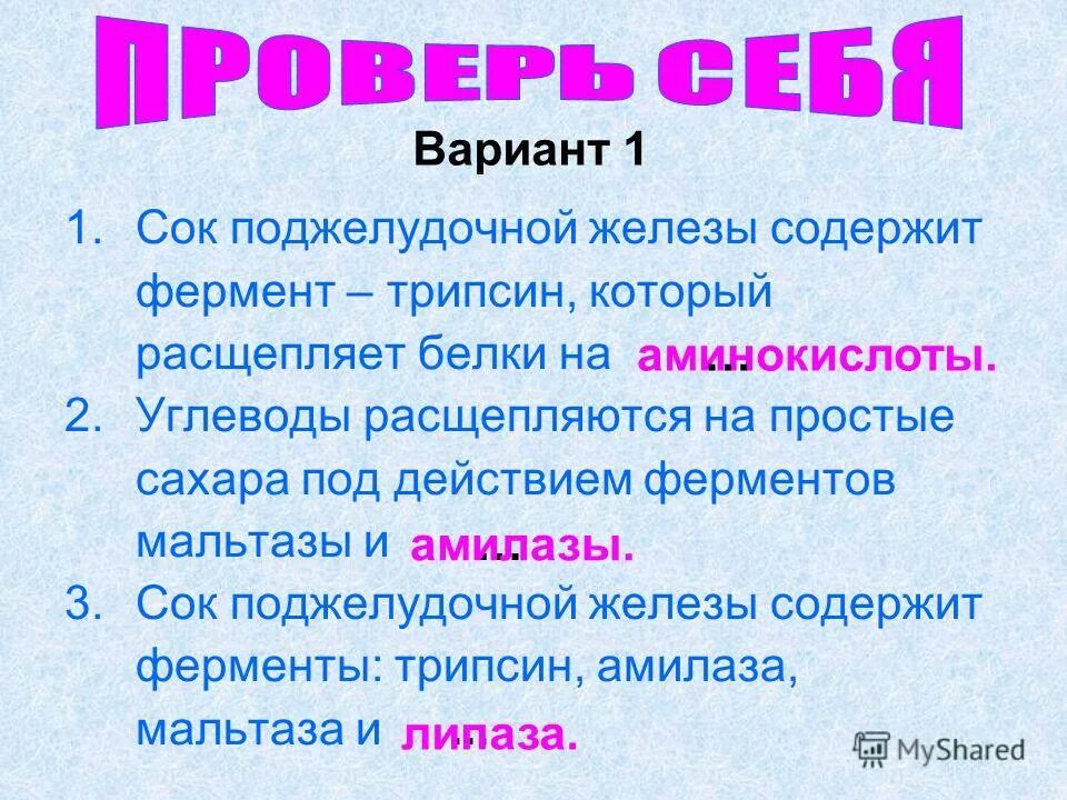 Ферменты расщепляющие углеводы в панкреатическом соке. Трипсин жиры углеводы расщепляет. Сок поджелудочной железы содержит ферменты. Ферменты поджелудочной железы расщепляющие углеводы.