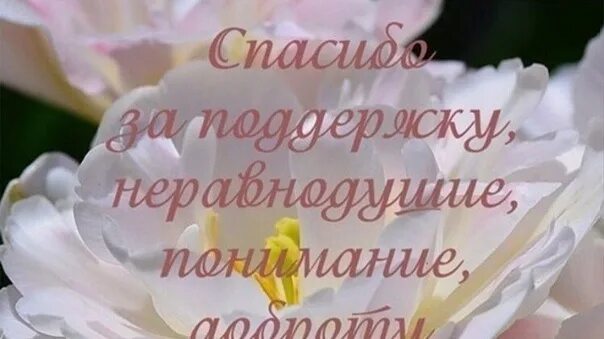 Благодарность людям за поддержку. Спасибо за помощь и поддержку. Благодарю за поддержку и понимание. Открытка с благодарностью за поддержку. Спасибо всем за поддержку.