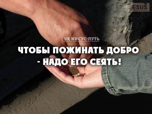 Что посеял то и получай