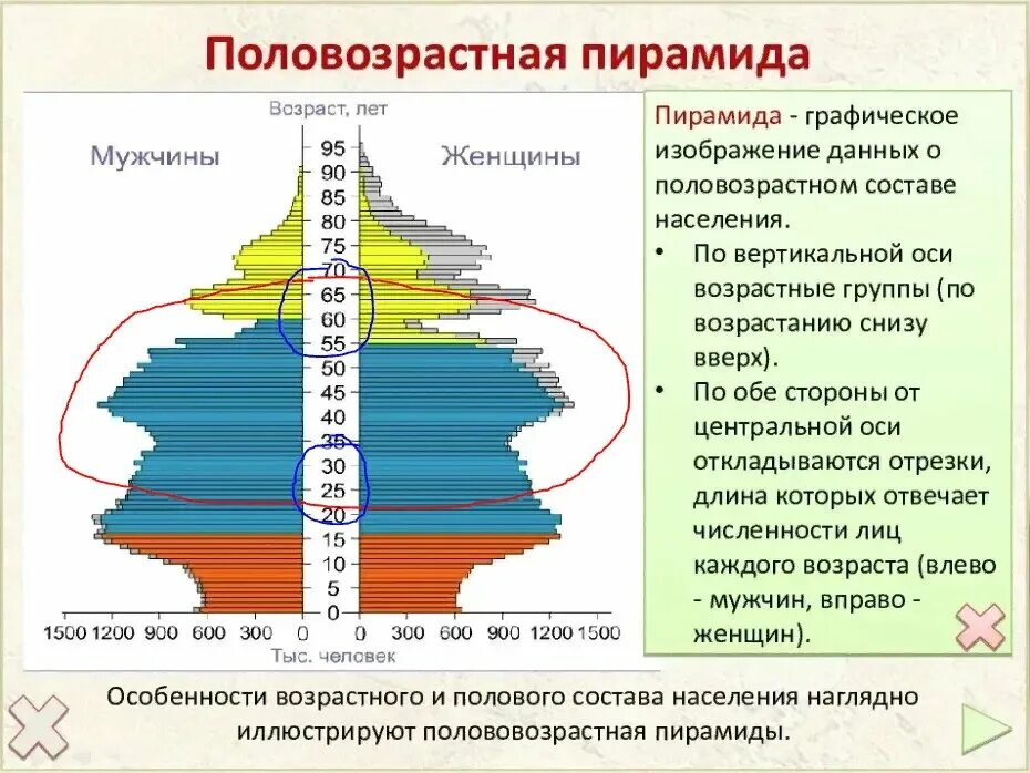 Демографическая политика снг таблица. Половозрастная пирамида России 2020. Возрастно-половая пирамида населения России. Возрастно-половая пирамида России 2020. Возрастно-половая пирамида России 2021