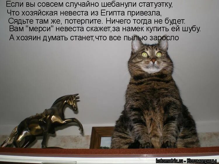 Смешные картинки про пение. Закинуть ноги на своего мужика. Сижу сейчас. Сижу сейчас. Котик за компьютером.