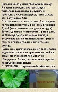 Сок лопуха что лечит отзывы