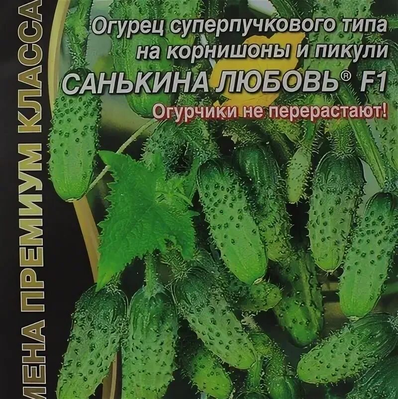 Суперпучковые огурцы. Горох санькина любовь (уд). Огурец санькина любовь уральский дачник. Семена огурцов санькина любовь. Огурец санькина любовь описание отзывы фото.