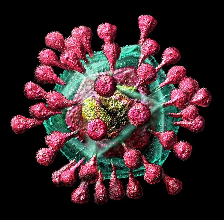 Коронавирус повторные. Коронавирус модель вируса. Строение вируса коронавируса. Модель вируса Covid-19. Вирусы под микроскопом.